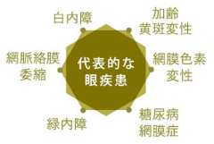 代表的な眼疾患