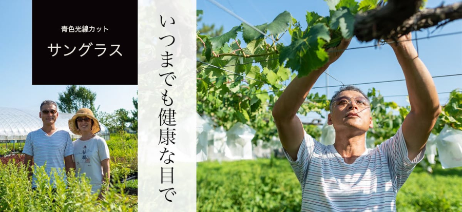 ブルーライト（青色光線）カットサングラス