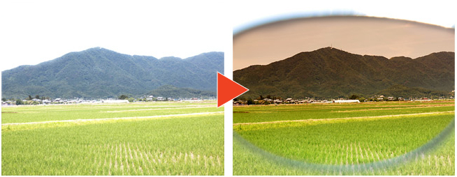 色補正効果の比較