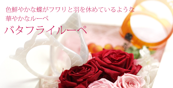 バタフライルーペ